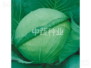 �и�19̖(h��o)-���{(l��n)�N��-���߷N�I(y��)