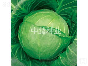 �и�27-���{(l��n)�N��-���߷N�I(y��)