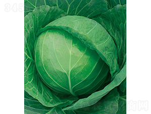 �и�606-���{(l��n)�N��-���߷N�I(y��)