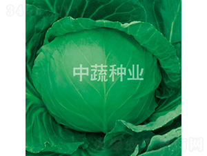 �и�23-���{(l��n)�N��-���߷N�I(y��)