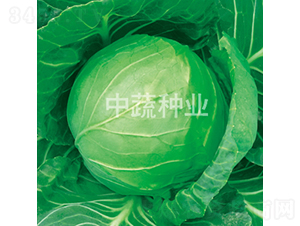 �и�28-���{(l��n)�N��-���߷N�I(y��)