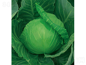 �и�26-���{(l��n)�N��-���߷N�I(y��)