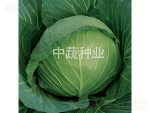 �и�96-���{(l��n)�N��-���߷N�I(y��)