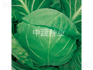 �и�628-���{(l��n)�N��-���߷N�I(y��)