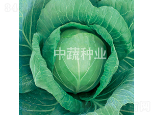 �и�588-���{(l��n)�N��-���߷N�I(y��)