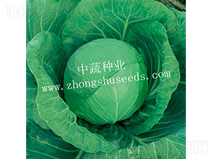 �и�590-���{�N��-���߷N�I(y��)