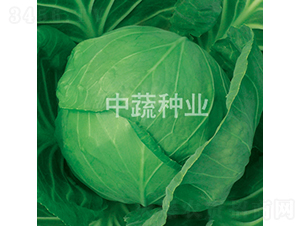 �и�828-���{�N��-���߷N�I(y��)