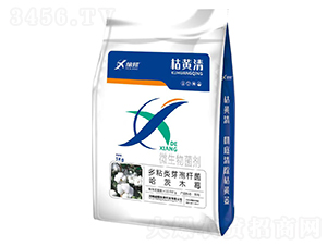 ���S��΢�������-��������