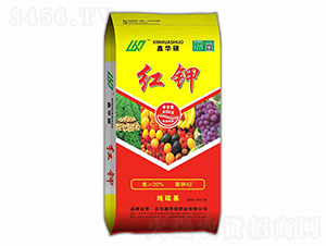 �t�-���A�T