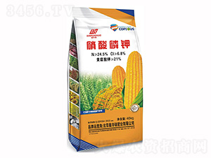 40kg�������-���A�T