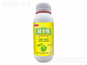 ���S��-ҫѸ�w�r(n��ng)�I(y��)