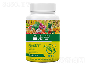 ��������-�w����-�κ��r(n��ng)�I(y��)