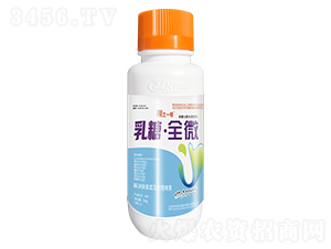 ���ǡ�ȫ΢-����һ̖-���r(n��ng)������