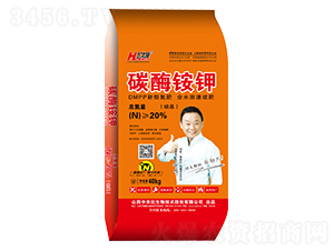 20%̼ø�@⛣������-�A̫¡-���r(n��ng)������