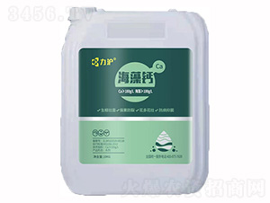 �����}-��������