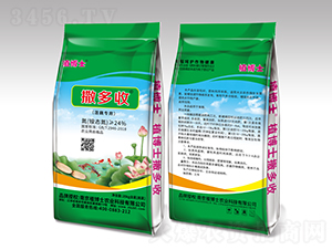 ɏź����������-ֲ��ʿ