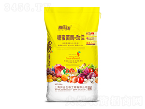 ���۾�ø���ż�-������-�������