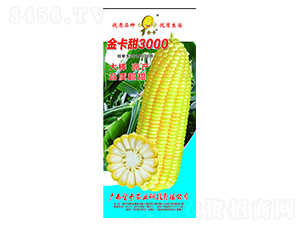 ����3000-���׷N��-���r(n��ng)�I(y��)