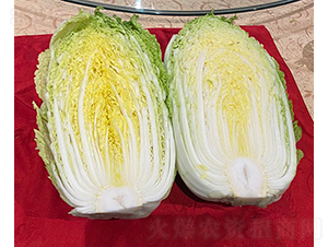 CR��ӯ��ײ�-�ײ˷N��-�V��