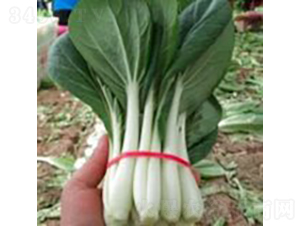 F1������~�ײ�-С�ײ˷N��-�V��