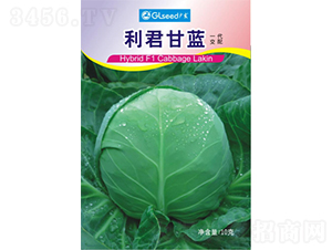 �������{(l��n)-���{(l��n)�N��-�V��