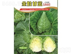 ���޸��{(l��n)-���{(l��n)�N��-�V��