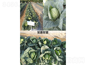 �X(ju��)����{(l��n)-���{(l��n)�N��-�V��