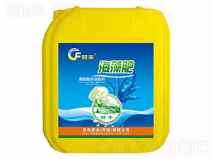 �����-ؔ(c��i)�S-����