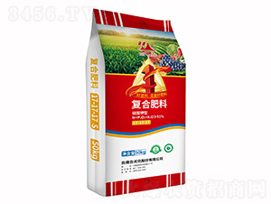 ��(f��)�Ϸ���17-17-17-�Ʒ廯��