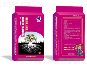 �����T�������͏�(f��)��΢�������-��������