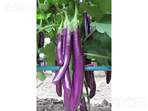 �f����������-���ӷN��-�V��