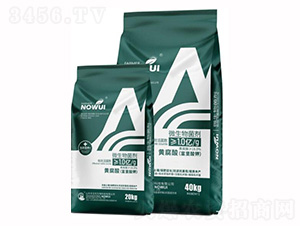 ΢�������-�S����(�������)-�r(n��ng)�o�n