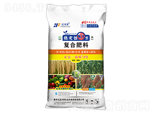 ��(w��n)����3�͏�(f��)�Ϸ���20-0-5-�쌚׷��2̖-�{(l��n)�쌚�S