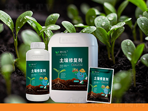 �����ޏ�(f��)��-�~֮��(l��)-�~��(l��)����