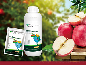 ȫԪ������Ԫ��-�~֮��(l��)-�~��(l��)����