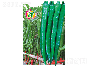 �V��Ҽ̖����-�����N��-�V��