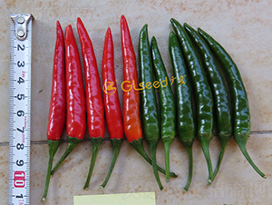 ����1̖���콷-�����N��-�V��