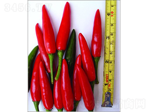 GL-6̖���콷-�����N��-�V��