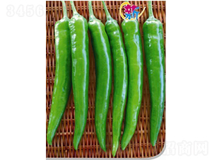 ��������-�����N��-�V��