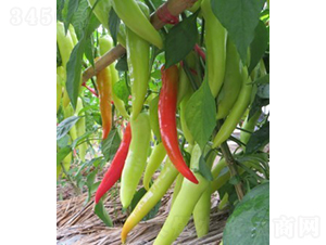 ��������-�����N��-�V��