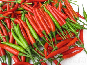 GL-11̖���콷-�����N��-�V��