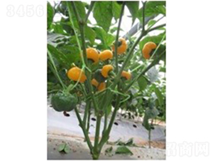 ��������-�����N��-�V��