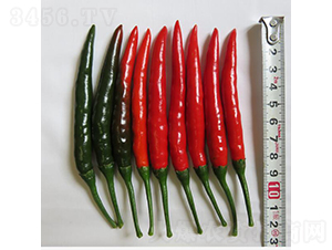 GL-23-�����N��-�V��