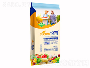 ̼øˮ�ܷ�-����