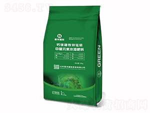 �}�V���F�\�i�~-����Ԫ��ˮ�ܷ���-���A���H