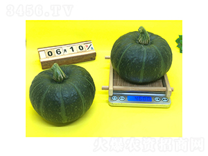 �G��ؐ1̖(h��o)-�ϹϷN��-�V��