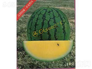 ��������-���ϷN��-�V��