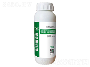 ��ϲ������-�Ƞ���