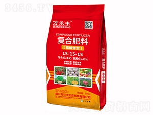 ������͏�(f��)�Ϸ���15-15-15-�f���S