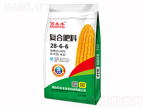 �ͺϷ���28-6-6-�f���S